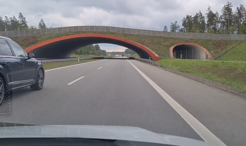 Wyprzedzanie prawą stroną na polskich autostradach jest legalne /INTERIA.PL