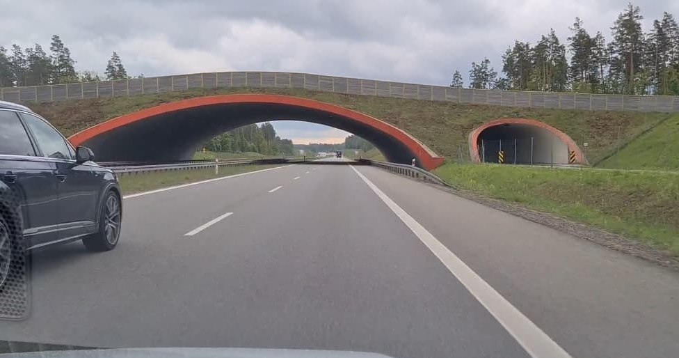 Wyprzedzanie prawą stroną na polskich autostradach jest legalne /INTERIA.PL