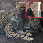 Wyrok: 10 lat więzienia za ochronę geparda. W więzieniu są bite i poniżane