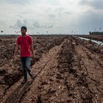 Wyrżną lasy o powierzchni Belgii. Rusza największa wycinka na świecie