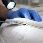 pluskwy mieszkanie Wyrzuć te rzeczy z sypialni. Przyciągają pluskwy
