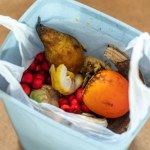 odpady Wyrzucasz wszystkie resztki z obiadu do zmieszanych? To błąd!