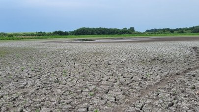 Wyschnięte jezioro koło Piły. Zostały po nim kałuże