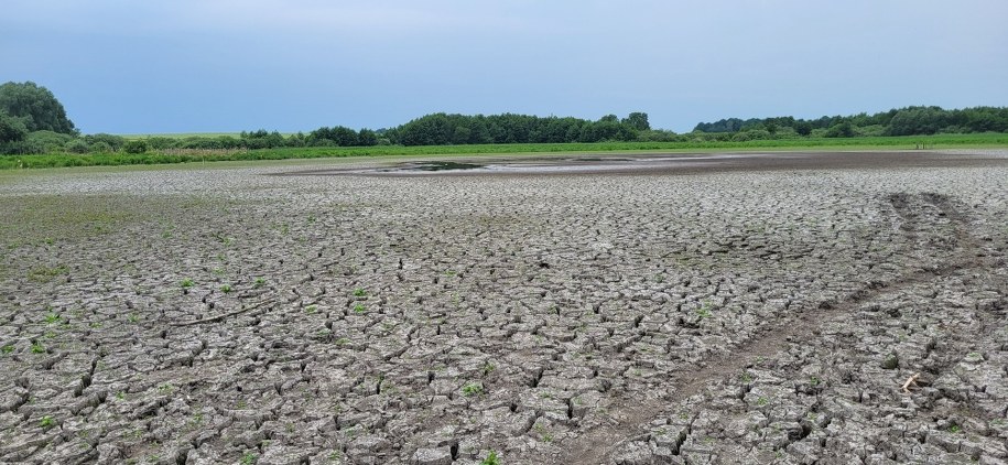 Wyschnięte jezioro w Skrzatuszu /Beniamin Piłat /RMF FM