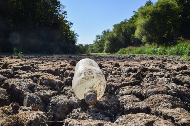 Wyschnięty staw w Wanstead Park w północno-wschodnim Londynie w czasie suszy, która nawiedziła w sierpniu 2022 roku Wielką Brytanię. /Vuk Valcic/ZUMA / SplashNews.com/East News /East News