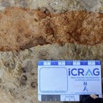 Szkocja Wyścig z czasem. Odkryli starożytne ślady stóp na szkockiej plaży