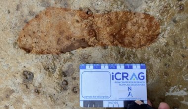 Wyścig z czasem. Odkryli starożytne ślady stóp na szkockiej plaży