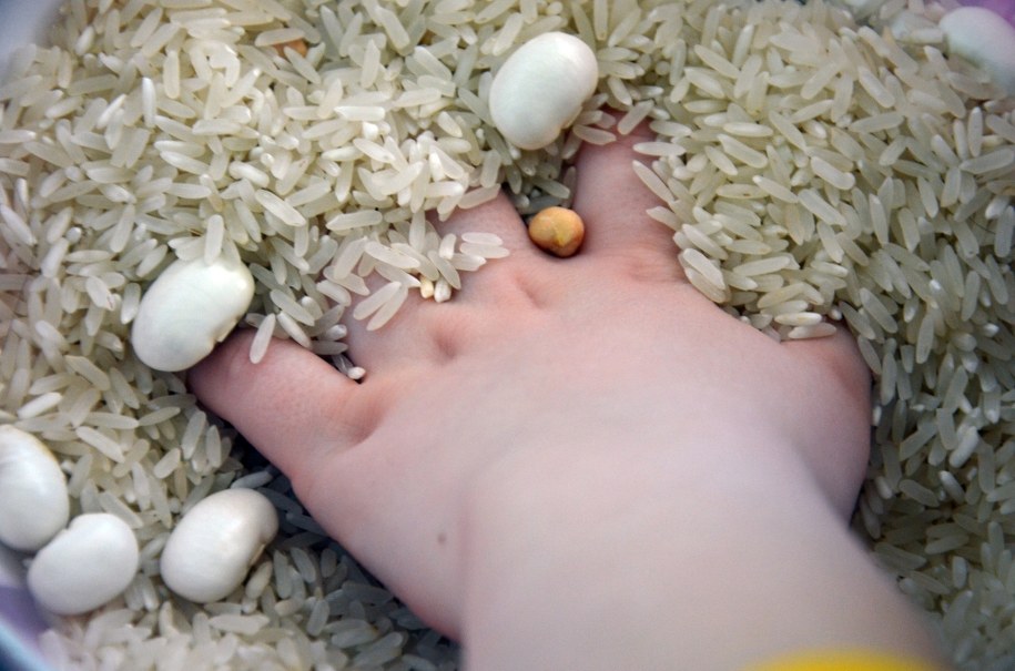 Wyścigi Kopciuszka /Marlena Chudzio /RMF FM