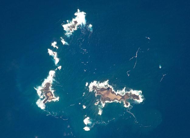 Wysepki Selvagens leżą na Atlantyku między Maderą a Kanarami. /Wiedza i Życie