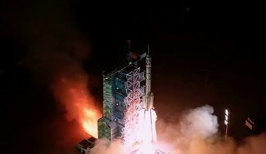 Wysłali myszy na stację kosmiczną. W jakim celu?