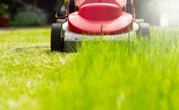 Wysoka grzywna za koszenie trawnika w weekend 