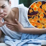 Wysoka śmiertelność u osób zakażonych. Nowy, niebezpieczny grzyb jest lekooporny