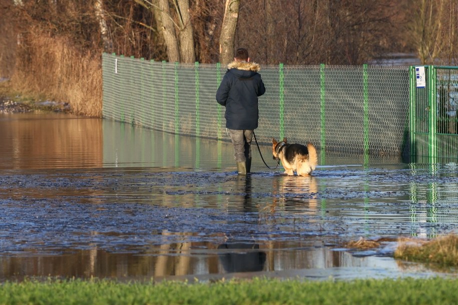 Wysoki poziom wody na Bugu spowodowany roztopami i spiętrzającą się krą spowodował częściowe zalanie wsi Młynarze / 	Leszek Szymański    /PAP