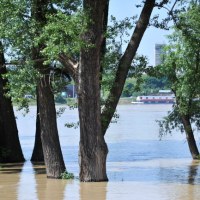 Zalane tereny nadrzeczne w pobliżu Mostu Poniatowskiego