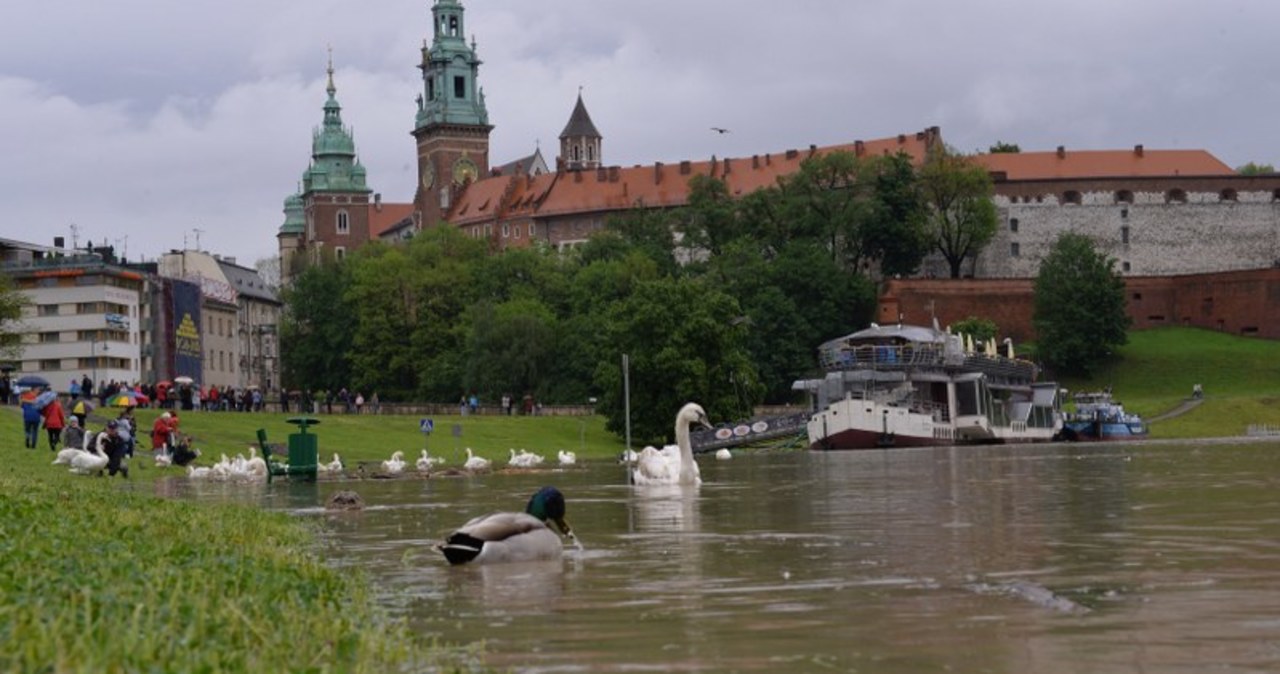 Wysoki stan wody na Wiśle w Krakowie 