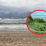 Wysokie fale i sinice. Zakazy kąpieli nad polskim morzem