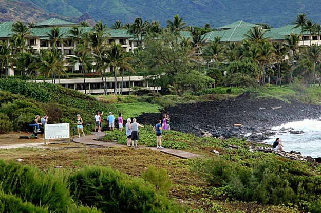 Wyspa Kauai należąca do archipelagu Hawaje /Martin Dean/Deanpictures/Newscom /PAP