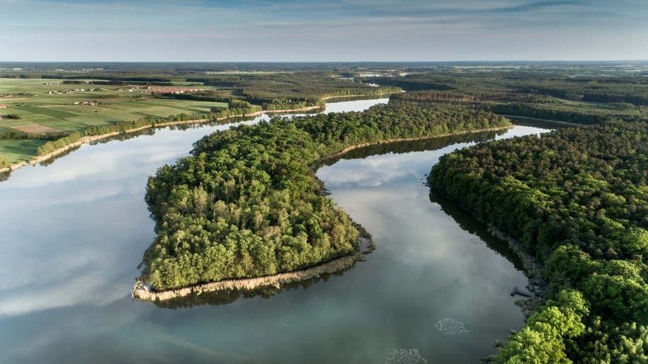Wyspa Konwaliowa to niezwykły rezerwat w Wielkopolsce. Słynie z konwalii o różowych pręcikach /foto: Urząd Gminy Przemęt /