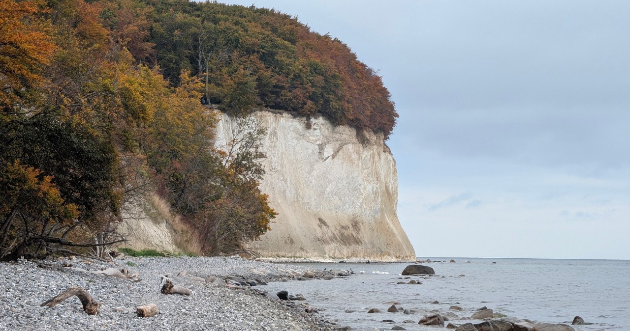 Wyspa Rugia zachwyca nawet na zdjęciach. Jak najlepiej można się na nią dostać? /Siarhei Besarab /CC BY-SA 4.0