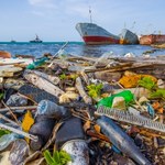 Wyspa Śmieci na oceanie. Gdzie ląduje najwięcej odpadów?