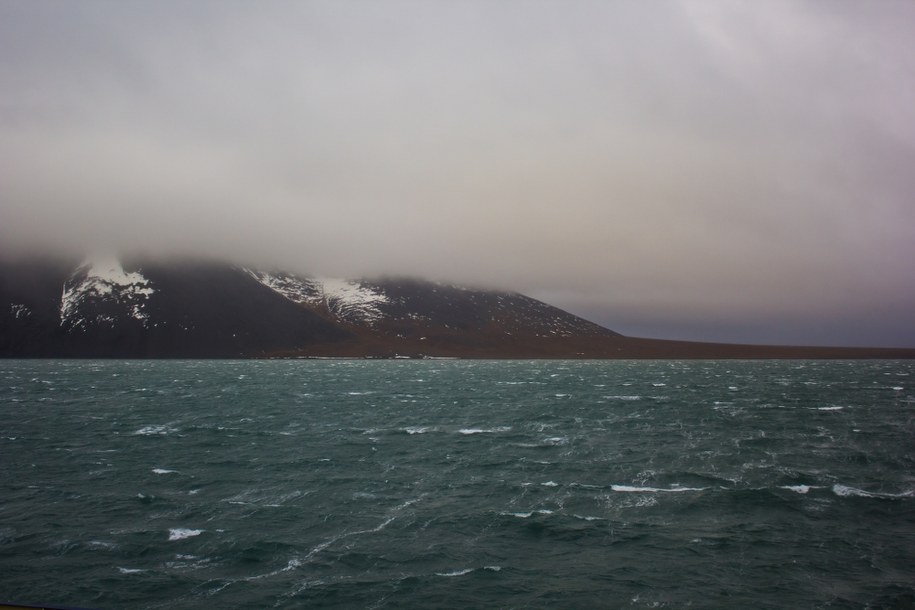 Wyspa Wrangla na Morzu Czukockim