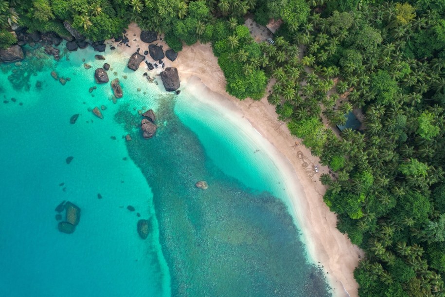 Wyspy Świętego Tomasza i Książęca mogą pochwalić się unikalną fauną i florą /Shutterstock
