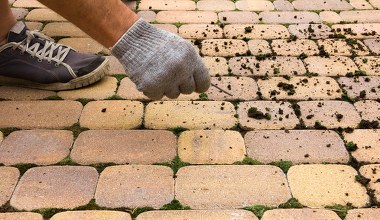 Wystarczą 2 składniki. Kostka po zimie będzie wyglądać jak świeżo położona 