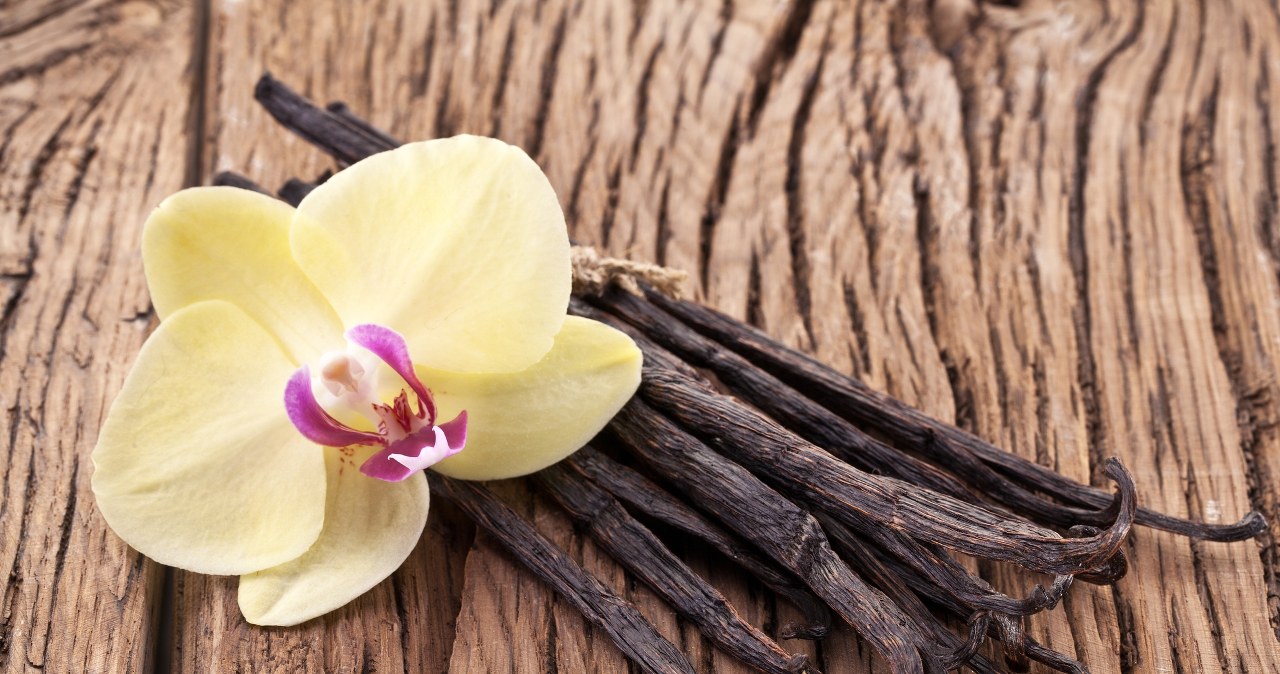 Wystarczy do herbaty dodać kawałki laski wanilii, by zyskała niezywkły smak oraz aromat /123RF/PICSEL