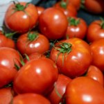 Wystarczy jedna łyżka przed sadzeniem. Pomidory będą zahartowane i wzmocnione