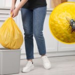 Wystarczy jedna przyprawa z kuchni. Muchy uciekną z domu w popłochu