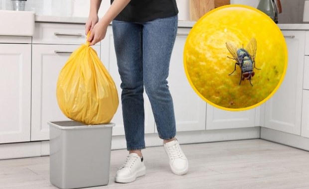 Wystarczy jedna przyprawa z kuchni. Muchy uciekną z domu w popłochu