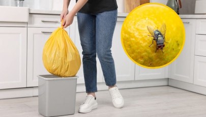 Wystarczy jedna przyprawa z kuchni. Muchy uciekną z domu w popłochu