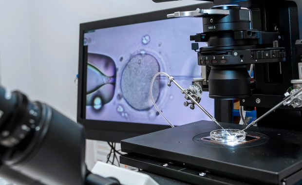 Wystartował miejski program dofinansowania in vitro