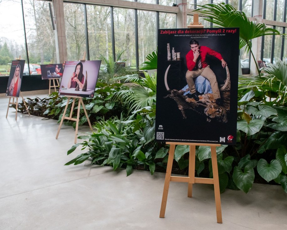 Wystawa edukacyjna w Orientarium Łódź /lodz.pl /Materiały prasowe