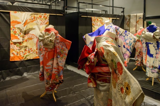 Wystawa kimon /Tomasz Gąsior, Muzeum Miejskie Wrocławia /