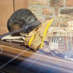 Wystawa o mumiach w poznańskim Muzeum Archeologicznym