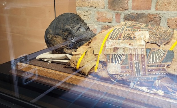 Wystawa o mumiach w poznańskim Muzeum Archeologicznym