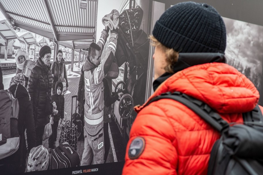 Wielka Brytania odmawia azylu Ukraińcom. Czy ma rację?