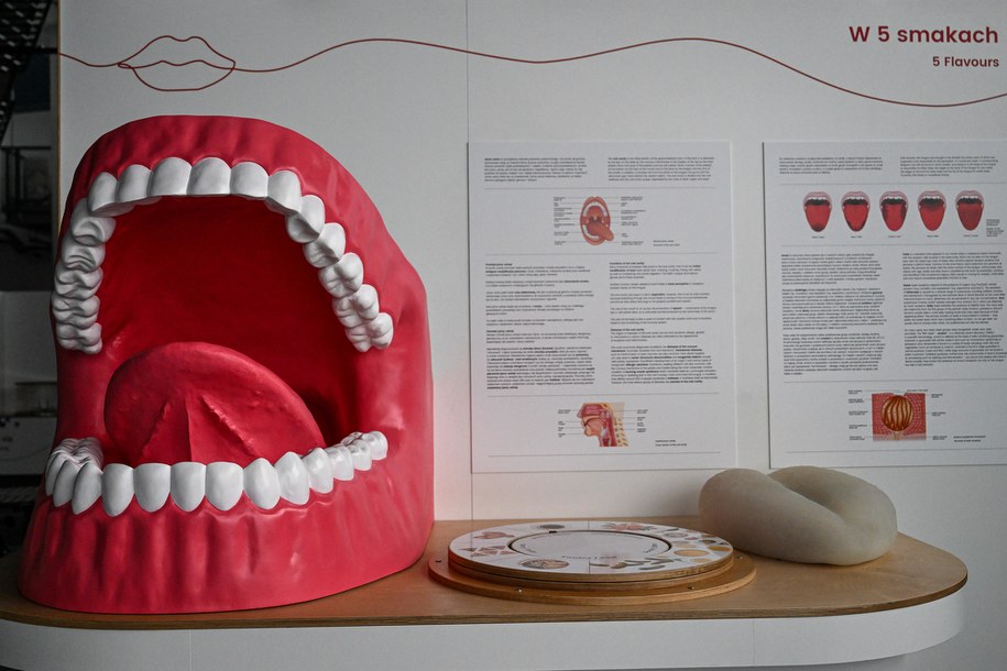 Wystawa w Podkarpackim Centrum Nauki /Darek Delmanowicz /PAP