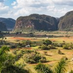 Występuje tylko w jednym miejscu na świecie. Naukowcy odkryli nowy gatunek pajęczaka