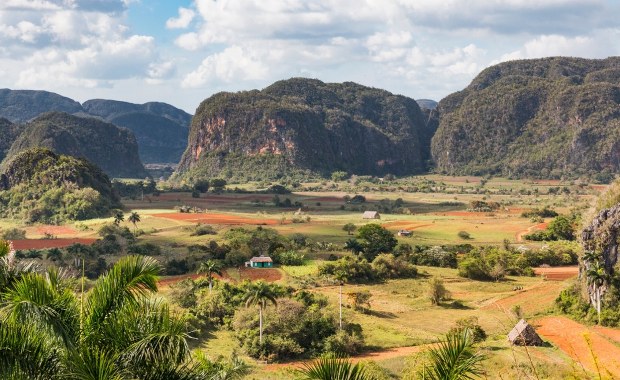Występuje tylko w jednym miejscu na świecie. Naukowcy odkryli nowy gatunek pajęczaka