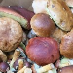 Wysyp borowików na Pomorzu. Bory Tucholskie warto odwiedzić z koszykiem 