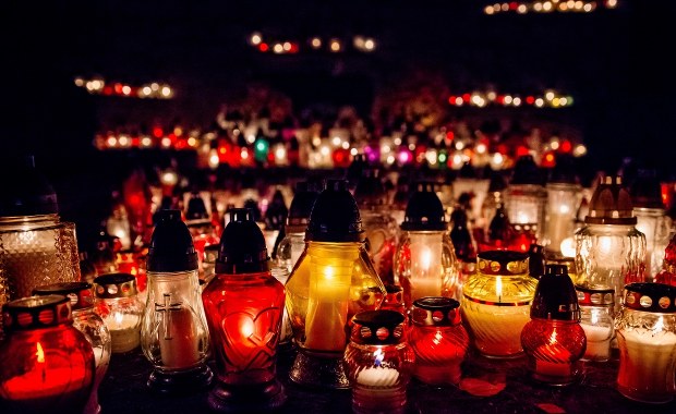 Wyszukiwarka grobów i las pamięci. Nowości na poznańskich cmentarzach