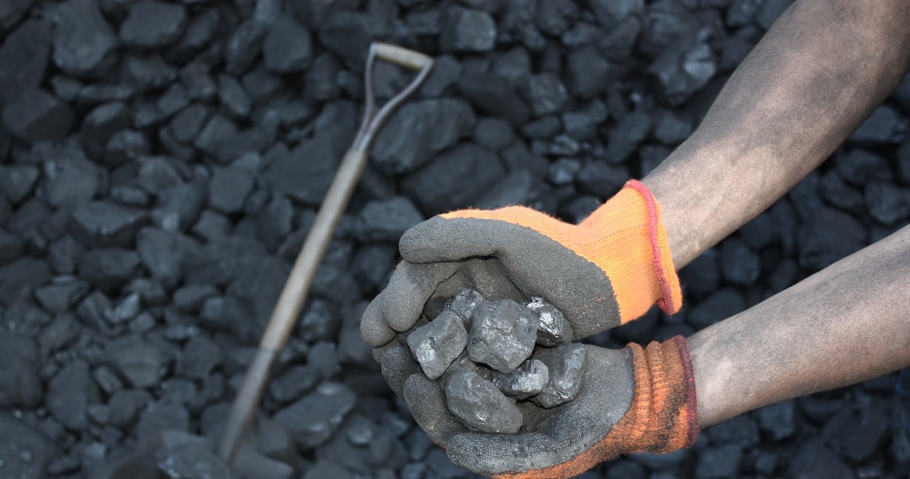 Wyszukiwarka węgla na ciepło.gov.pl ma ułatwić Polakom znalezienie surowca opałowego w możliwie najkorzystniejszej cenie /123RF/PICSEL
