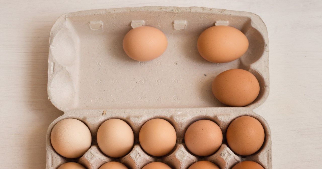 Wytłaczanki po jajkach idealnie nadają się do posadzenia w nich cebulek tulipanów. /123RF/PICSEL