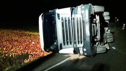 Wywrotka ciężarówki z jabłkami. Owoce wysypały się z naczepy