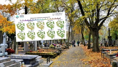 Wyż Urmi nadciąga nad Polskę. Idzie zmiana pogody