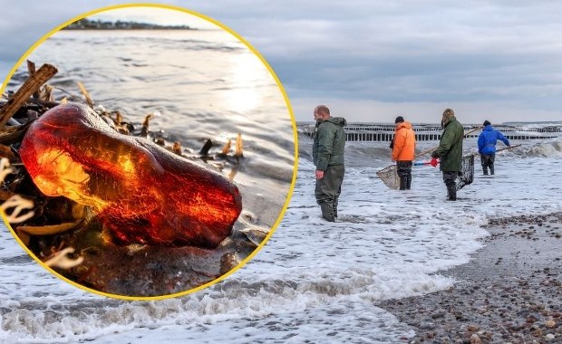 "Wyznacznikiem są mewy". Ekspert o tym, jak znaleźć najcenniejsze bryłki bursztynu