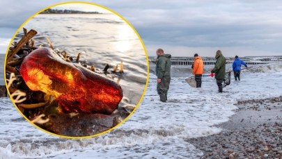 "Wyznacznikiem są mewy". Ekspert o tym, jak znaleźć najcenniejsze bryłki bursztynu