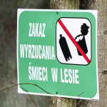 Wyższe kary za śmiecenie, strażnicy jak policja. Będą zmiany w przepisach